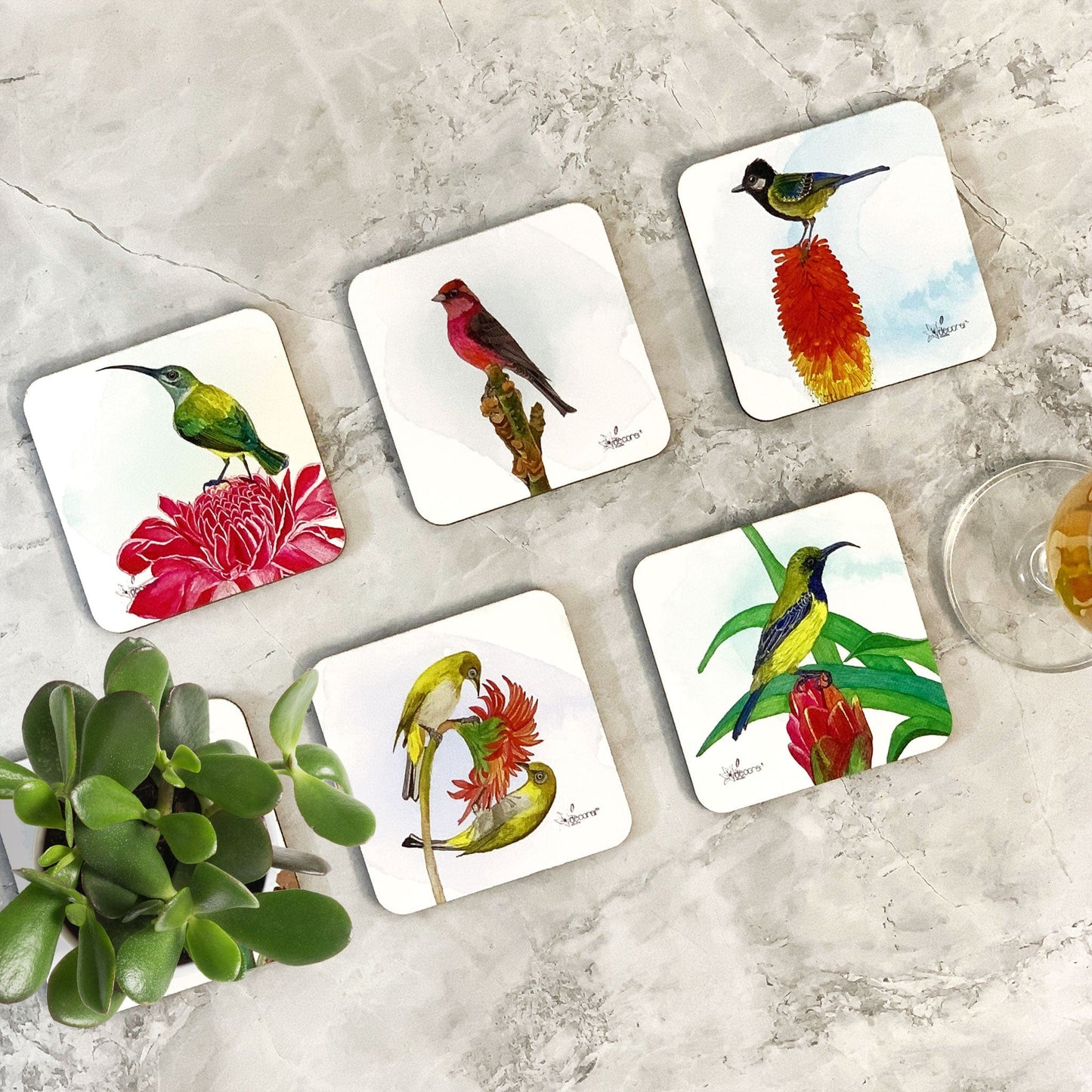 Studio Decorai Coasters Little Feathered Friends - Birds of India - Coasters (Set of 6)