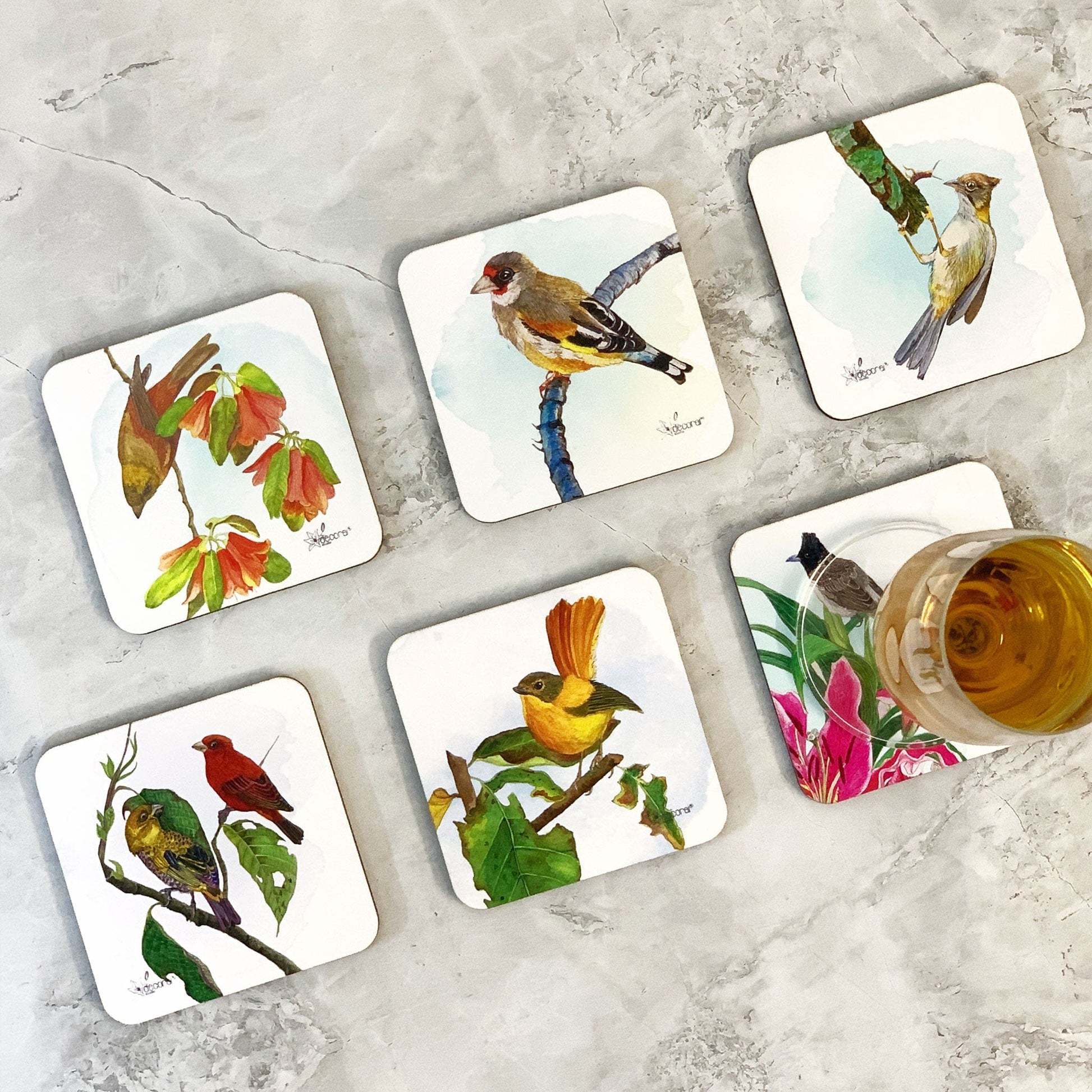 Studio Decorai Coasters Songs from Woodland - Birds of India - Coasters (Set of 6)