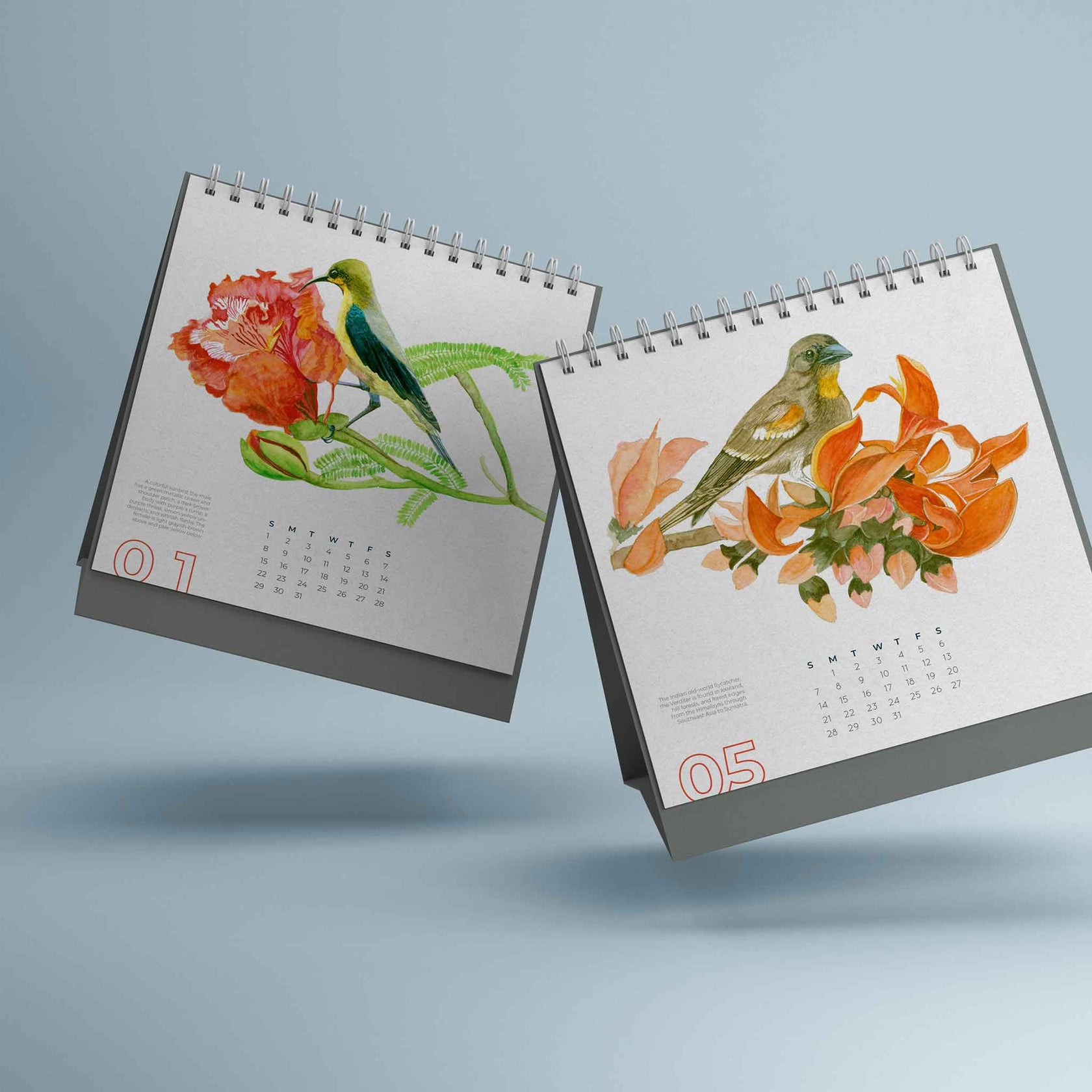 Handmade Desk Calenders Online - Bird Calendar | Studio Decorai